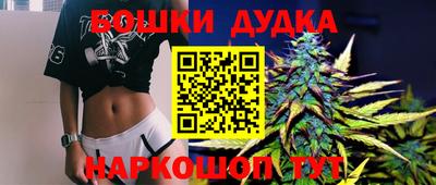 a pvp Ставрополь