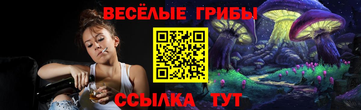 Родники  Псилоцибиновые грибы мицелий  Псилоцибиновые грибы Magic Shrooms  Вход с VPN 