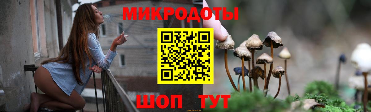 Псилоцибиновые грибы Magic Shrooms Родники